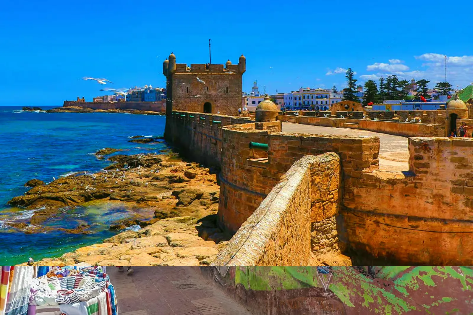 Essaouira coastal day trip from Marrakech