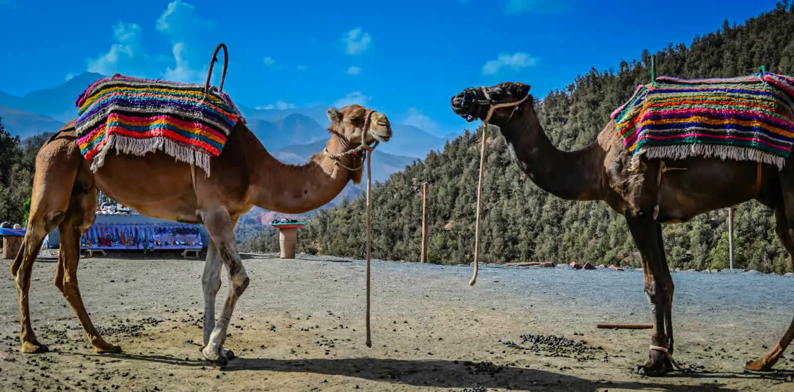 Ourika Valley village